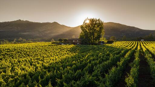 Seven Apart Wines Image