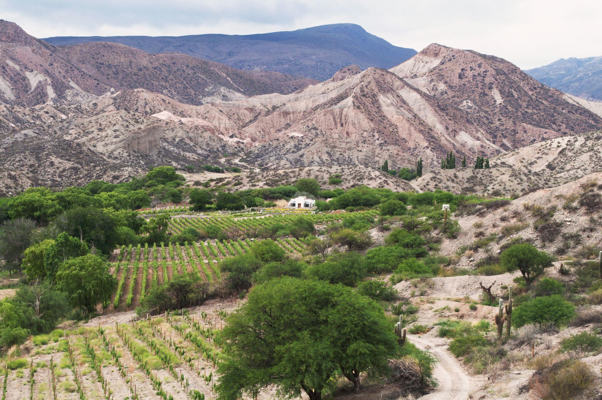 Finca Gualfín Cover Image
