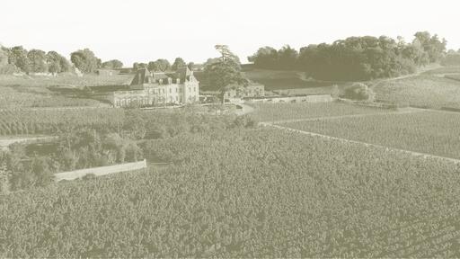 Château Fonplégade Image
