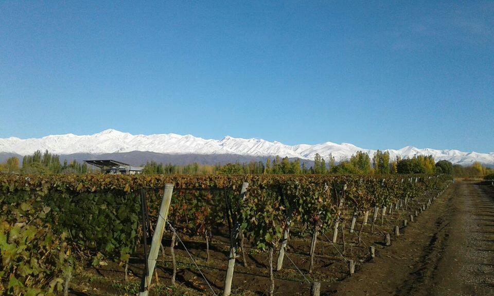 Bodega Valle de Encuentro Cover Image