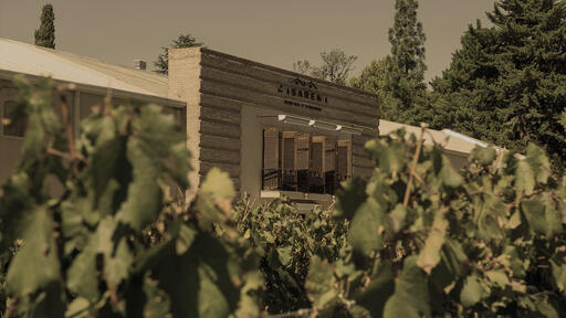 Casarena Bodega y Viñedos Image