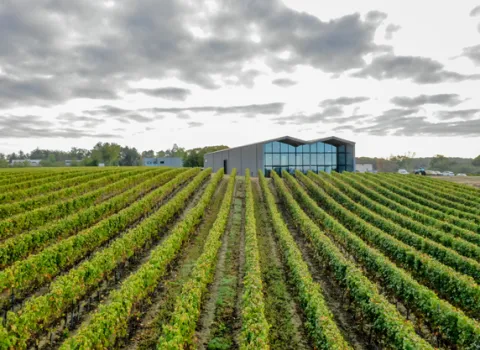 Vignoble Grandeau Cover Image