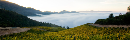Peter Michael Winery Image