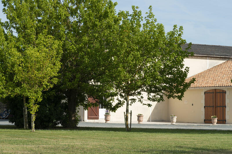 Château La Branne Cover Image