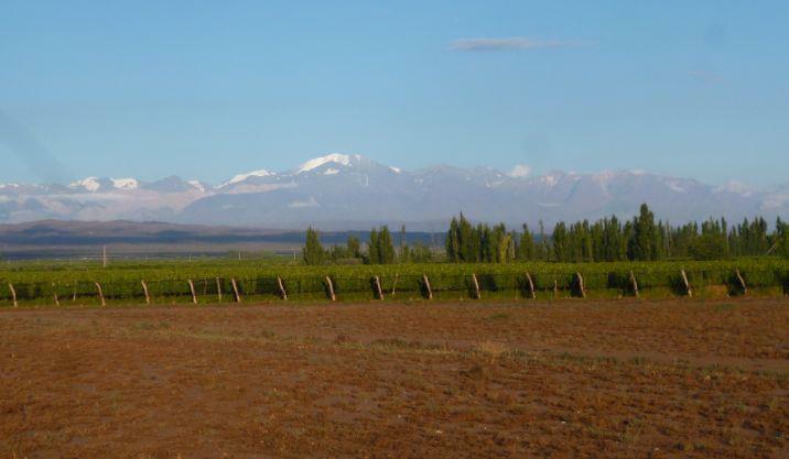 Alpamanta Estate Cover Image