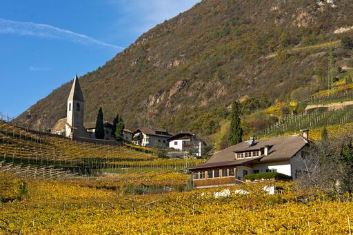 Weingut Untermoserhof Image