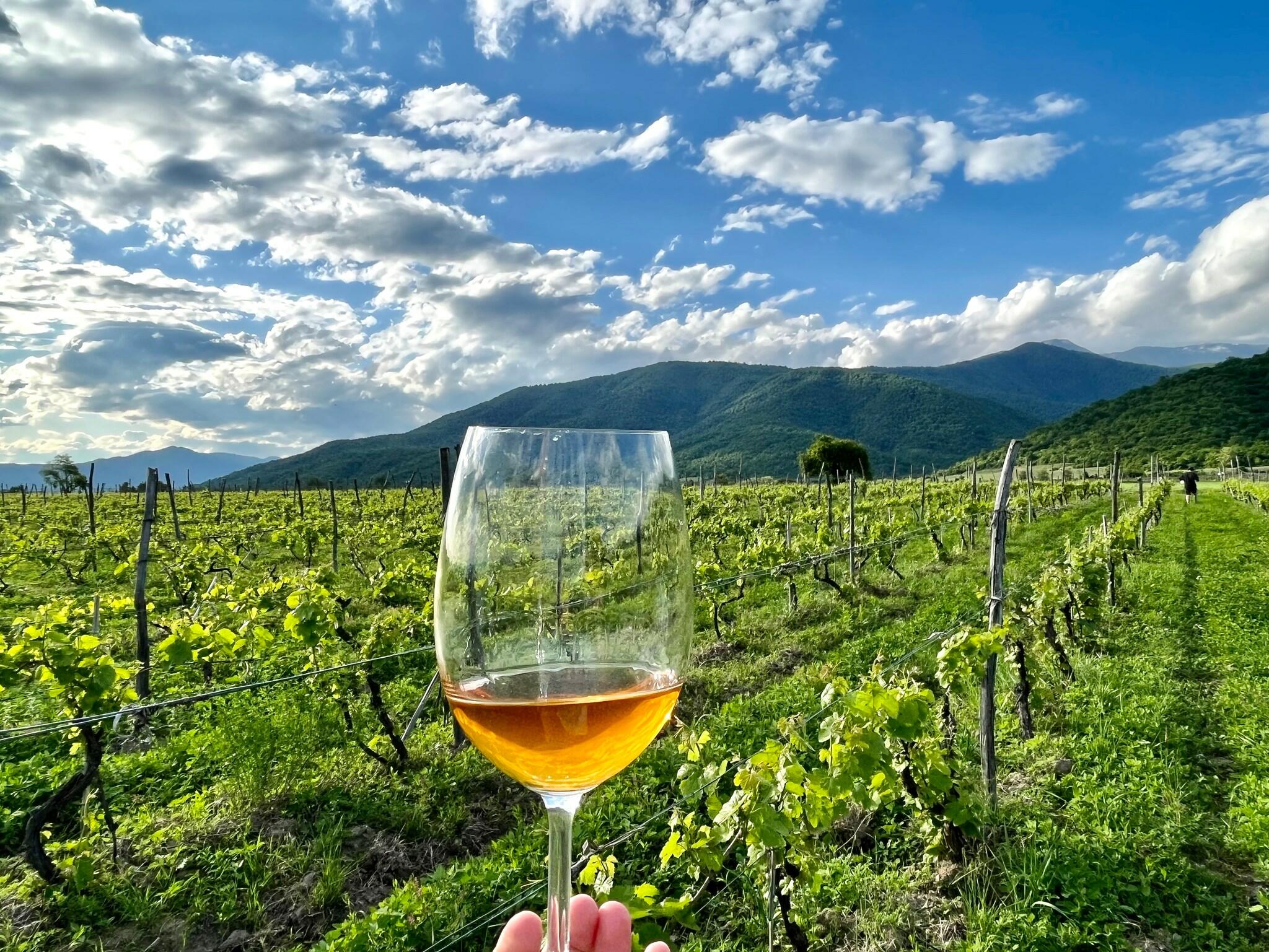 Artana Wines Cover Image