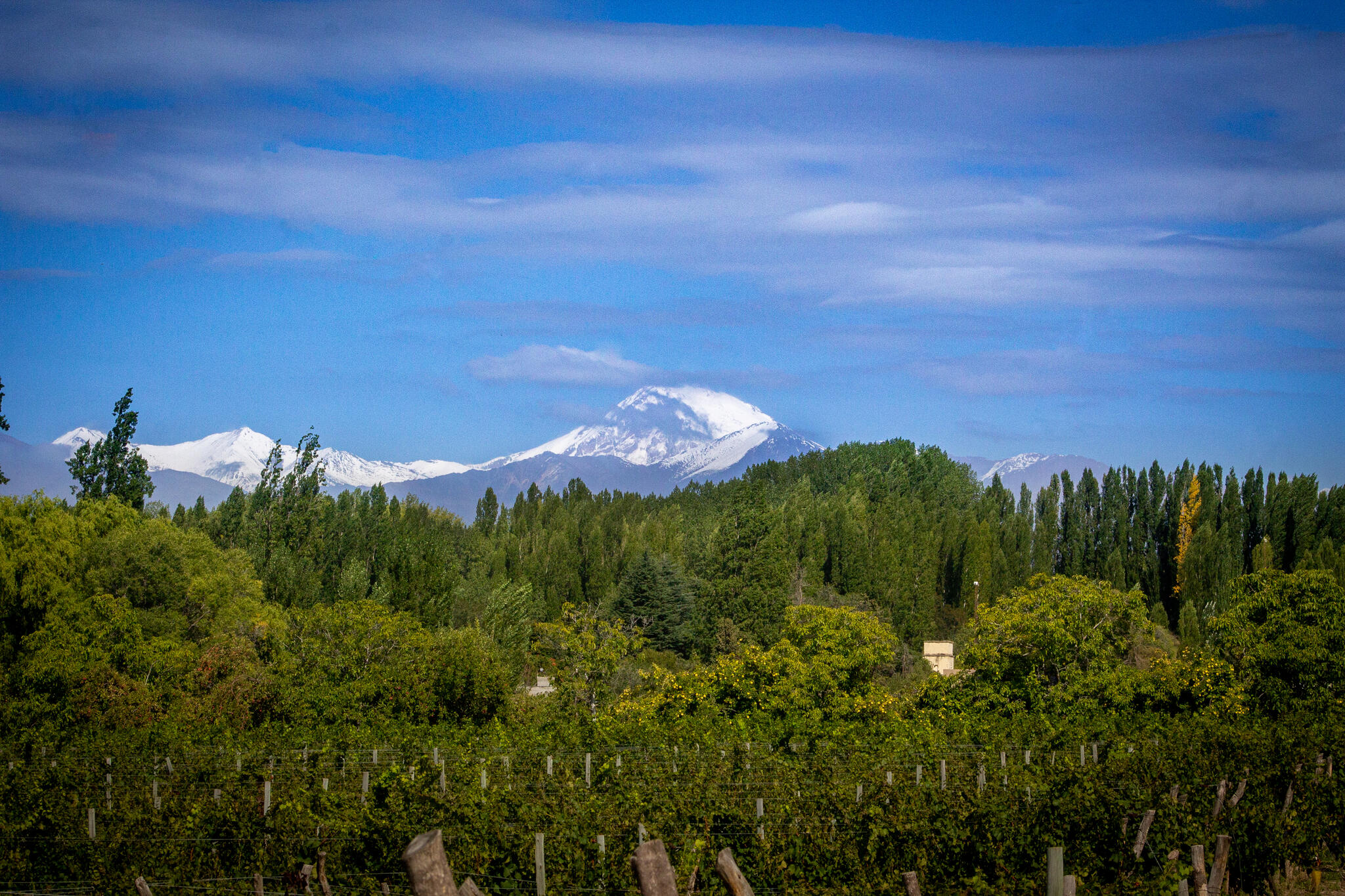 Escala Humana Wines Cover Image