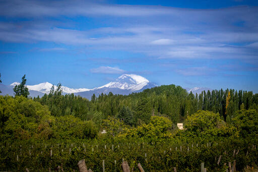 Escala Humana Wines Image