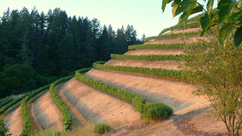 Fisher Vineyards Cover Image