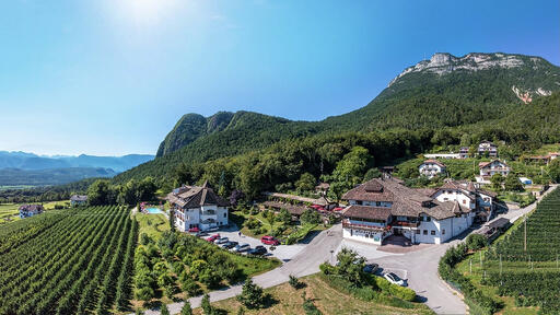 Weingut Steinegger Image