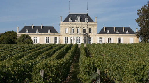 Château Le Boscq Image