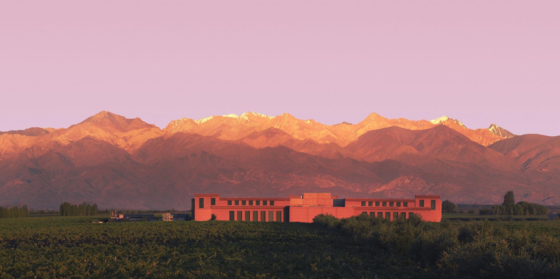 Rutini Wines Cover Image