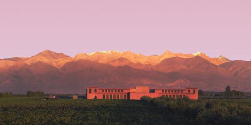 Rutini Wines Image