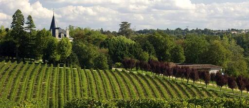 Château Latour Camblanes Image