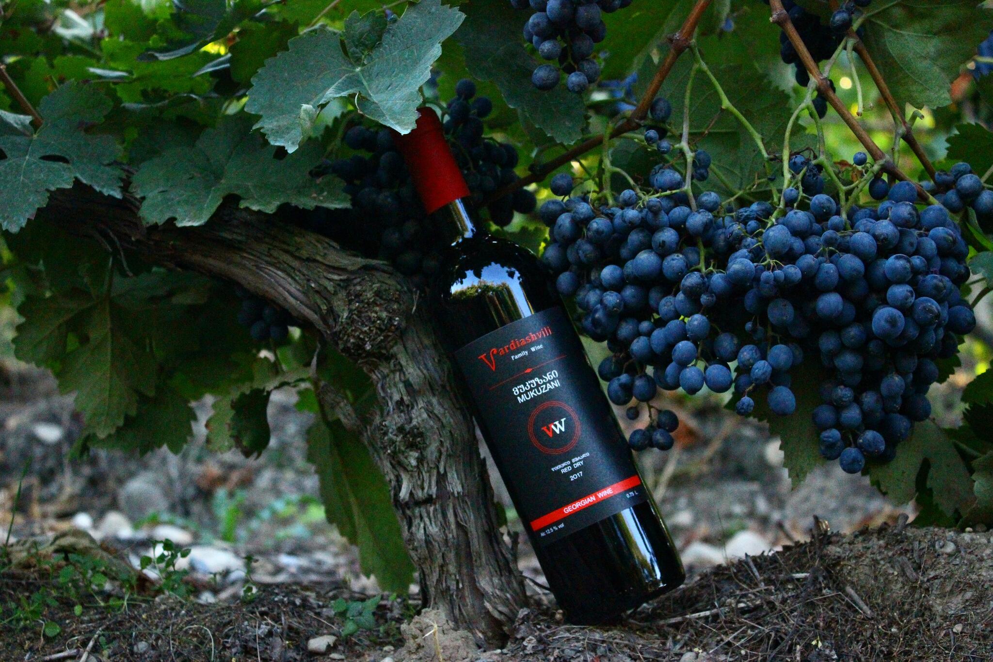 Vardiashvili Family Wine Company Cover Image