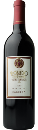 Robledo Family Winery Barbera Bottle Preview