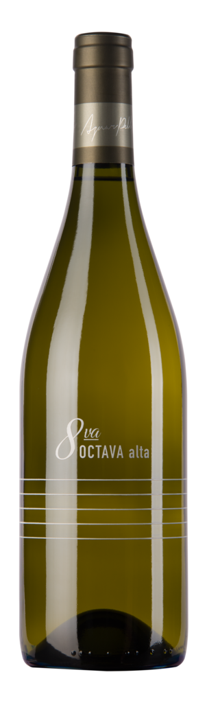 Abremundos Octava Alta Blanc de blancs Bottle Preview