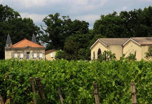 Vignoble Maulin Image