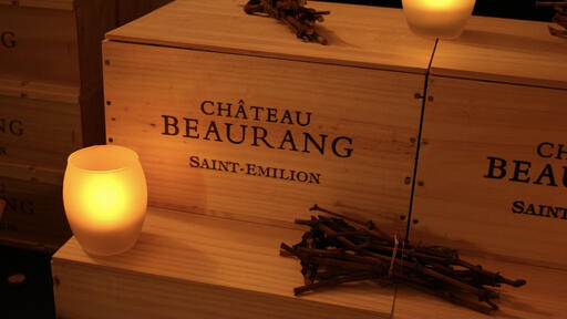 Château Beaurang Image