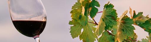 Lipartiani Wine House Image