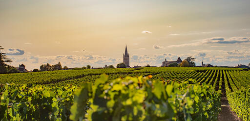 Château Rol Valentin Image