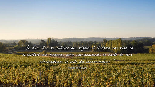 Vignoble Boudon Image