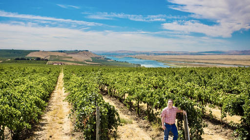 Tempus Cellars Image