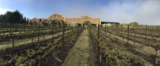 Black Stallion Estate Winery Image