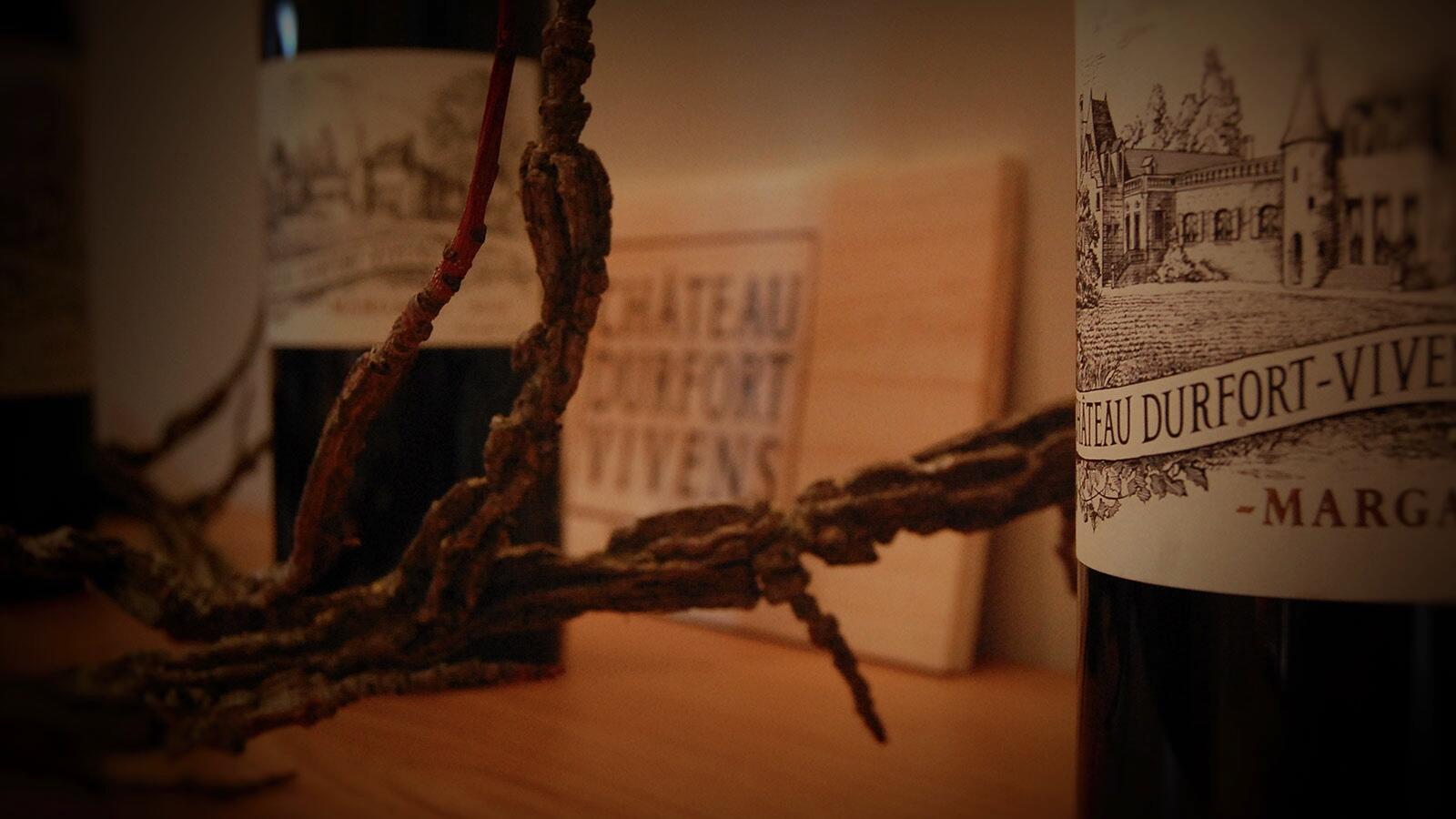 Château Dufort-Vivens Cover Image