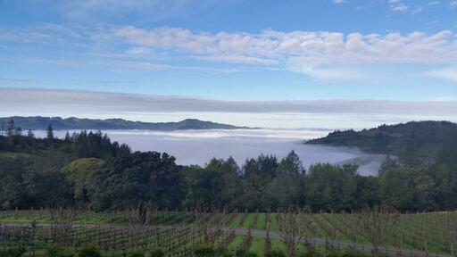Lail Vineyards Image