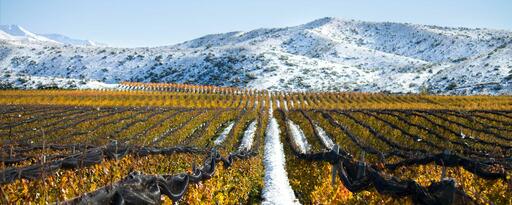 Bodega Catena Zapata Image