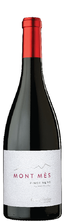 Castelfeder MONT MÈS Pinot Nero Bottle Preview