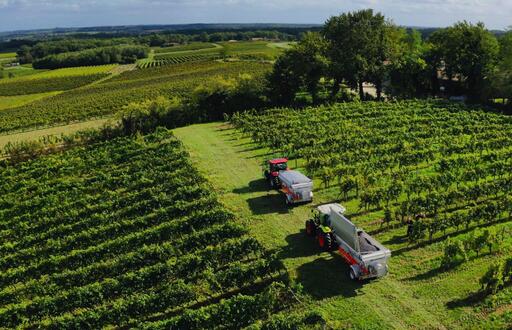 Vignobles Roussillon Image