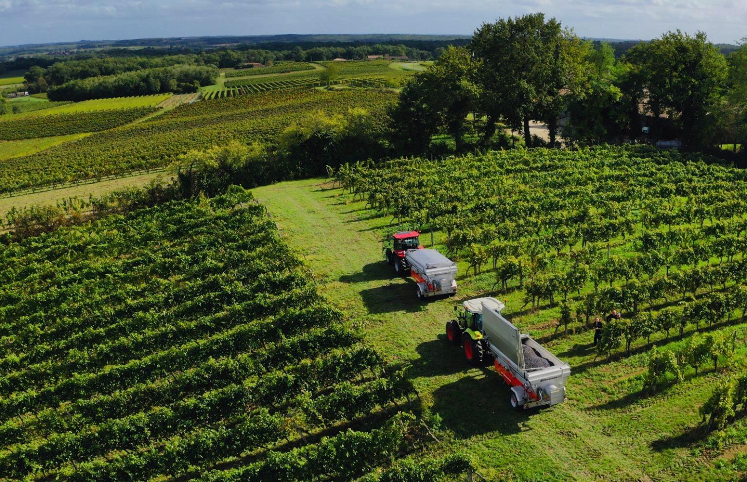 Vignobles Roussillon Cover Image
