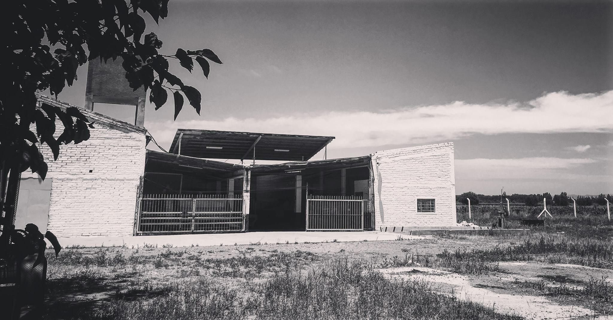 Bodegas Americanas Cover Image