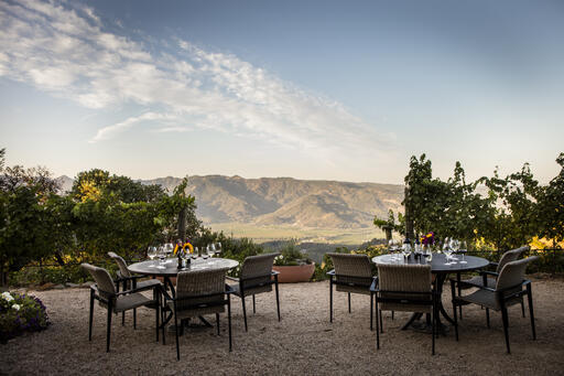 Barnett Vineyards Image