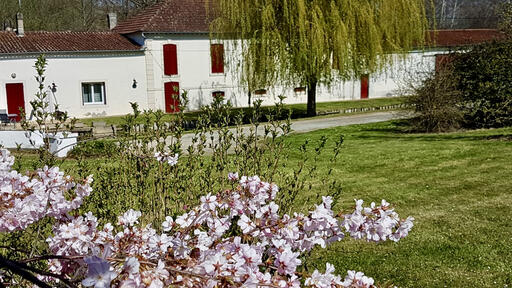 SCEA Vignobles Signé Image