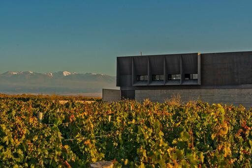 Bodega Corazon del Sol Image