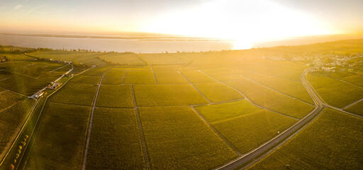 La Rose Pauillac Image