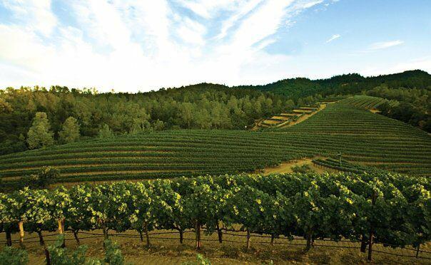 Clark-Claudon Vineyards Cover Image