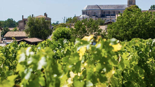 Clos du Marquis Image