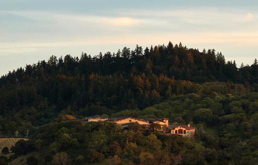 Silverado Vineyards Image