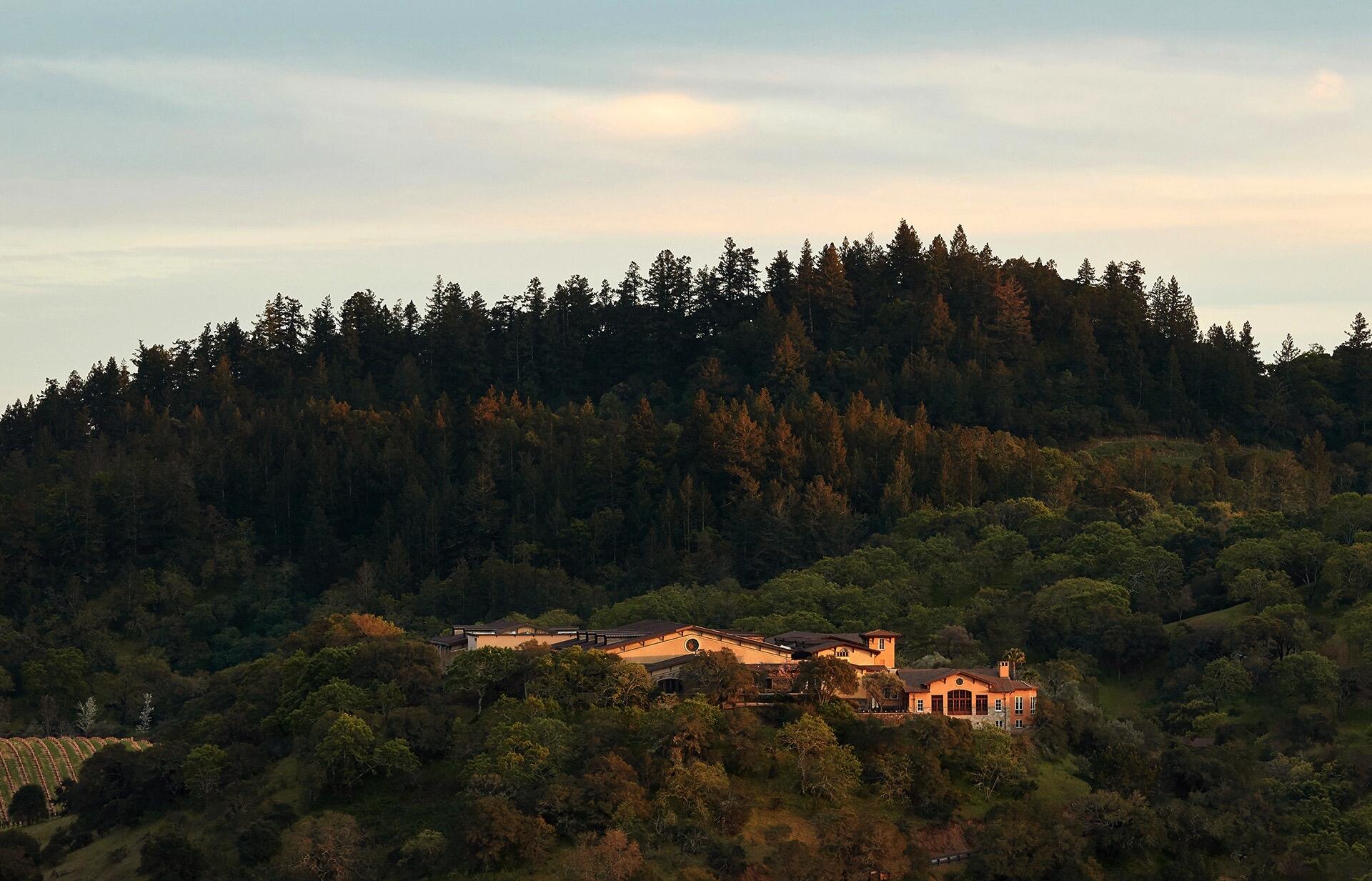 Silverado Vineyards Cover Image