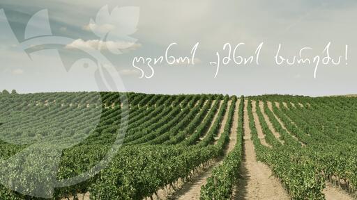 Winery Khareba Image