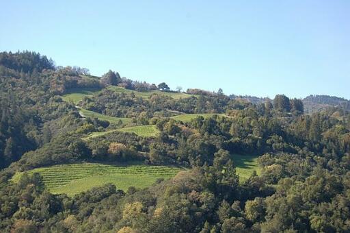 Quivet Cellars Image
