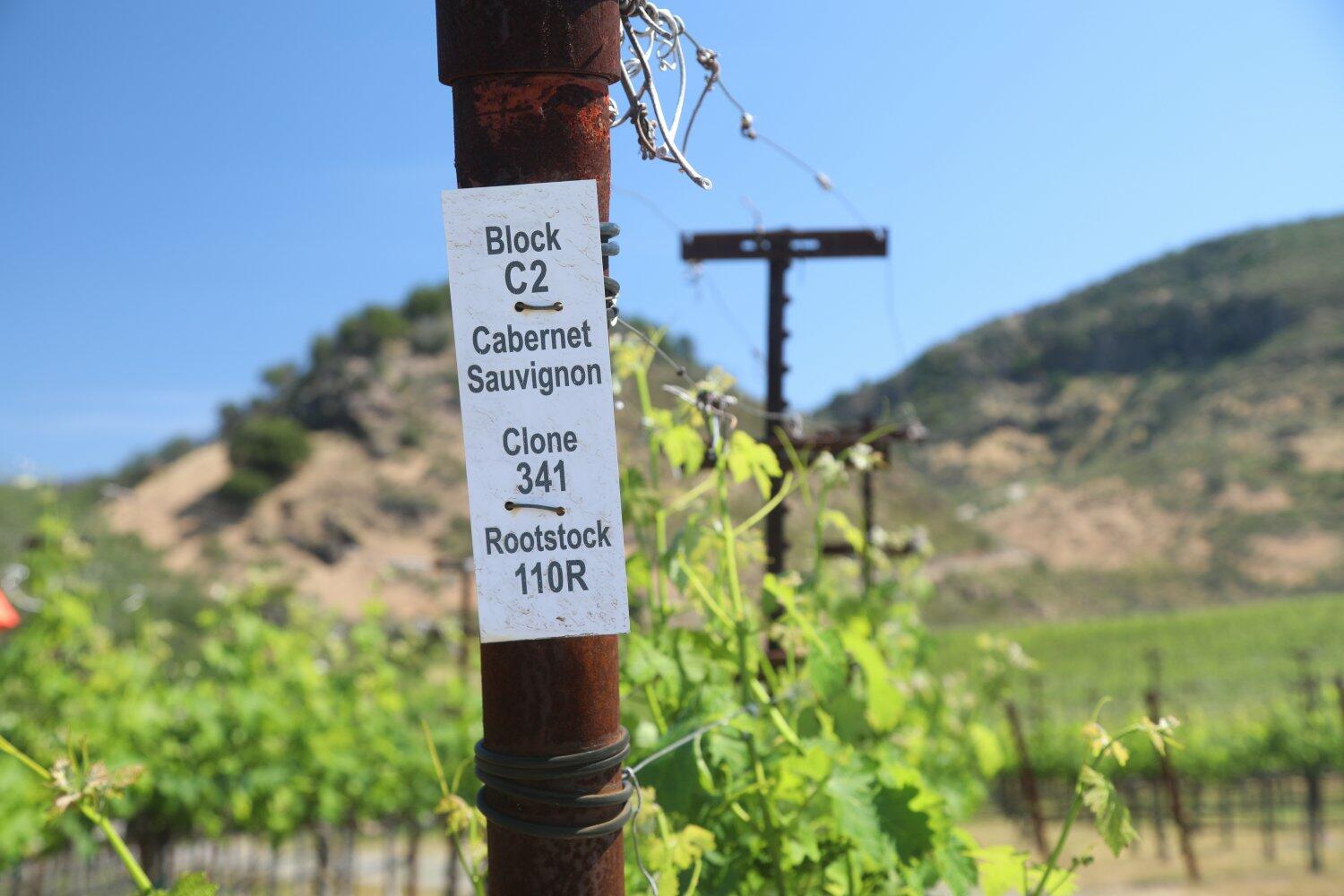 Vangone Estate Cover Image