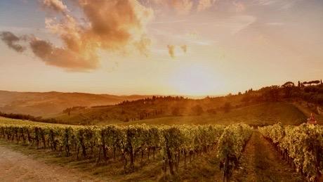 Bontzu Cellars Image