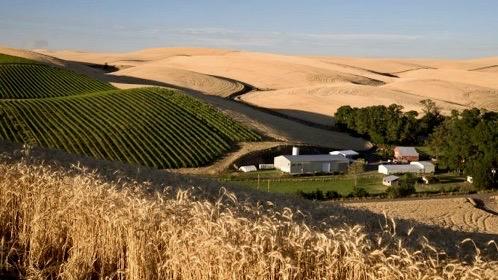Spring Valley Vineyard Image
