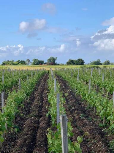 Château Pontoise Cabarrus Image